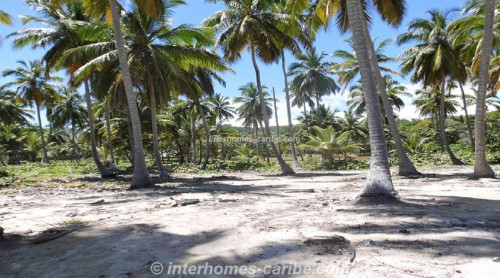 photos for SAMANA THE COVES: OCEAN FRONT LOT 29 405 M2